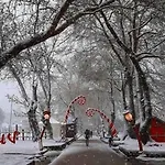 Stelina's In * Трикала