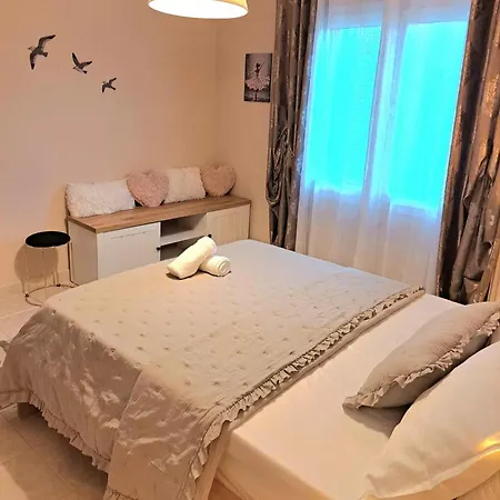 Stelina's In * 트리칼라