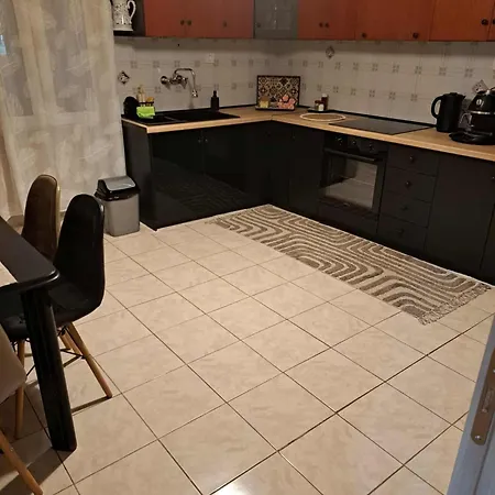 公寓 Stelina's In 特里卡拉